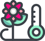 Perennials