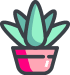 Succulents & Houseplants