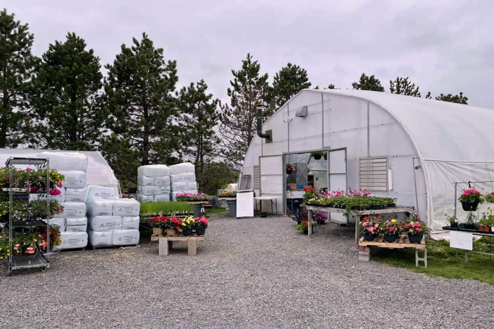 Skyline Gardens greenhouse